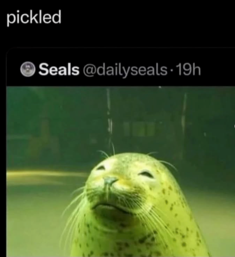 pickled Seals @dailyseals 19h