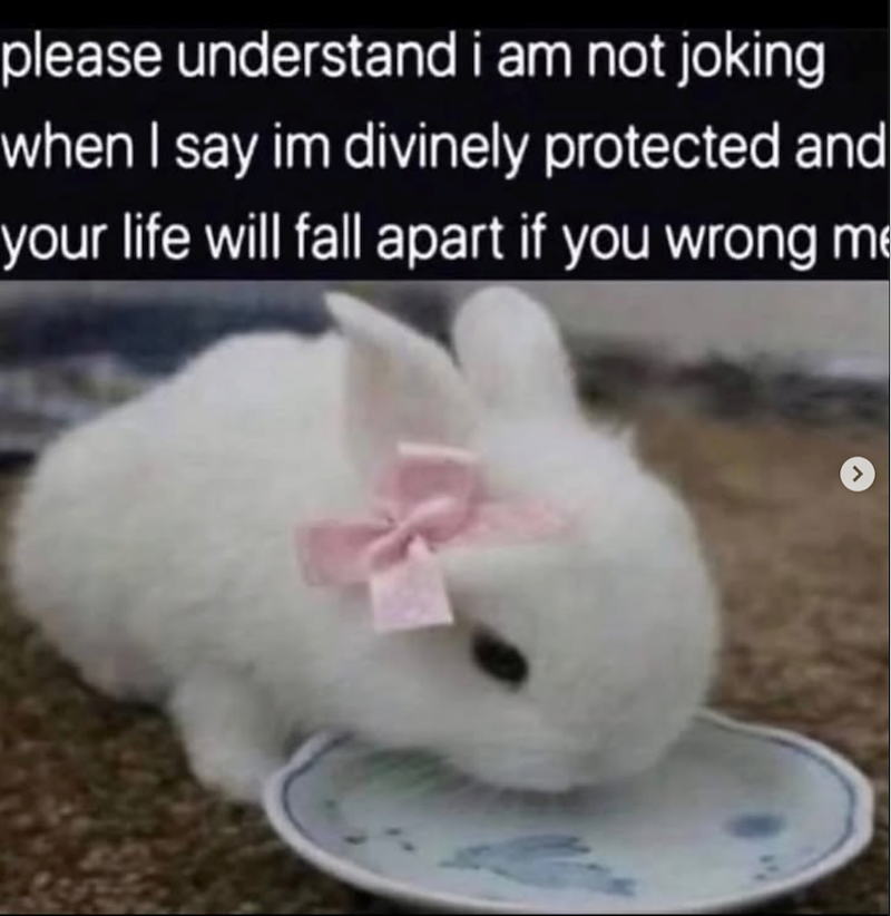 please understand i am not joking when I say im divinely protected and your life will fall apart if you wrong me