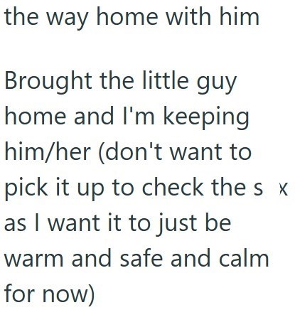 the way home with him Brought the little guy home and I'm keeping him/her (don't want to pick it up to check the s x as I want it to just be warm and safe and calm for now)