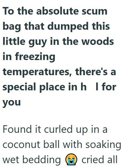 To the absolute scum bag that dumped this little guy in the woods in freezing temperatures, there's a special place in h_I for you Found it curled up in a coconut ball with soaking wet bedding cried all