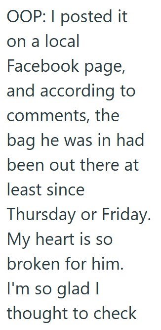 OOP: I posted it on a local Facebook page, and according to comments, the bag he was in had been out there at least since Thursday or Friday. My heart is so broken for him. I'm so glad I thought to check