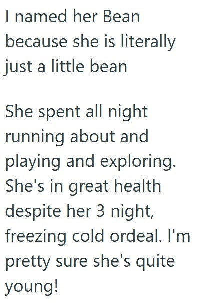 I named her Bean because she is literally just a little bean She spent all night running about and playing and exploring. She's in great health despite her 3 night, freezing cold ordeal. I'm pretty sure she's quite young!