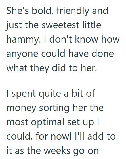 She's bold, friendly and just the sweetest little hammy. I don't know how anyone could have done what they did to her. I spent quite a bit of money sorting her the most optimal set up I could, for now! I'll add to it as the weeks go on