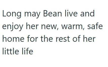 Long may Bean live and enjoy her new, warm, safe home for the rest of her little life