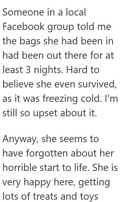 Someone in a local Facebook group told me the bags she had been in had been out there for at least 3 nights. Hard to believe she even survived, as it was freezing cold. I'm still so upset about it. Anyway, she seems to have forgotten about her horrible start to life. She is very happy here, getting lots of treats and toys