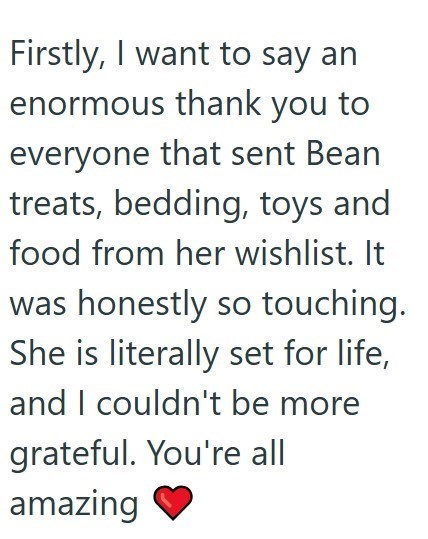 Firstly, I want to say an enormous thank you to everyone that sent Bean treats, bedding, toys and food from her wishlist. It was honestly so touching. She is literally set for life, and I couldn't be more grateful. You're all amazing