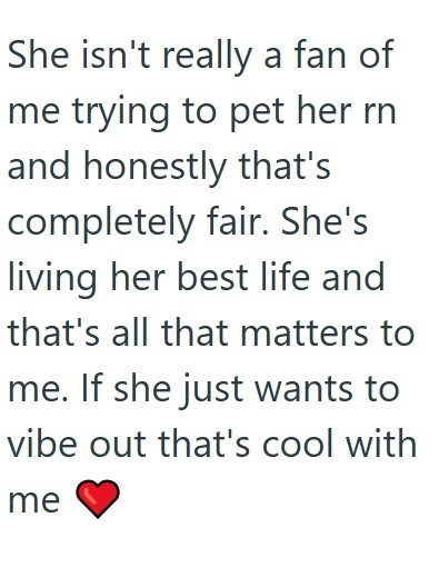 She isn't really a fan of me trying to pet her rn and honestly that's completely fair. She's living her best life and that's all that matters to me. If she just wants to vibe out that's cool with me