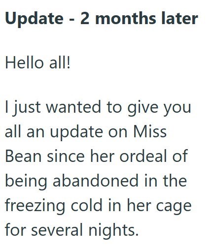 Update - 2 months later Hello all! I just wanted to give you all an update on Miss Bean since her ordeal of being abandoned in the freezing cold in her cage for several nights.