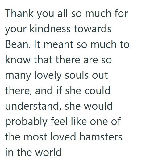 Thank you all so much for your kindness towards Bean. It meant so much to know that there are so many lovely souls out there, and if she could understand, she would probably feel like one of the most loved hamsters in the world
