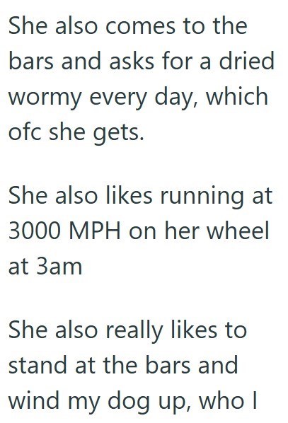 She also comes to the bars and asks for a dried wormy every day, which ofc she gets. She also likes running at 3000 MPH on her wheel at 3am She also really likes to stand at the bars and wind my dog up, who I
