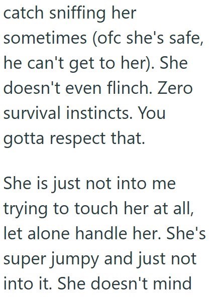catch sniffing her sometimes (ofc she's safe, he can't get to her). She doesn't even flinch. Zero survival instincts. You gotta respect that. She is just not into me trying to touch her at all, let alone handle her. She's super jumpy and just not into it. She doesn't mind