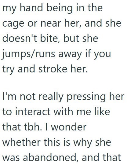 my hand being in the cage or near her, and she doesn't bite, but she jumps/runs away if you try and stroke her. I'm not really pressing her to interact with me like that tbh. I wonder whether this is why she was abandoned, and that