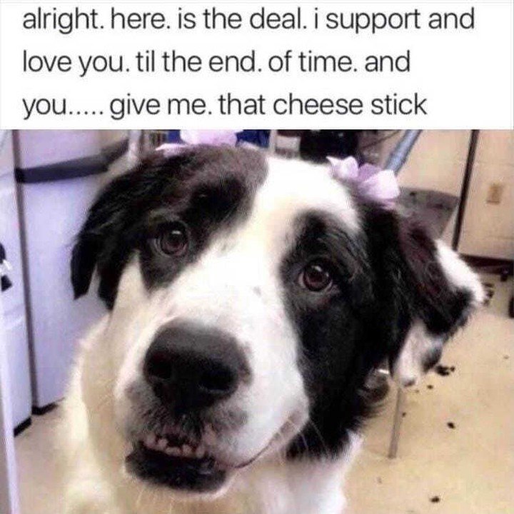 alright. here. is the deal. i support and love you. til the end. of time. and you..... give me. that cheese stick