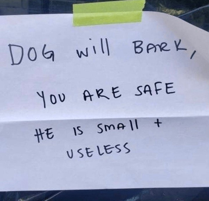 DOG will BARK, You ARE SAFE HE IS SMAll + USELESS