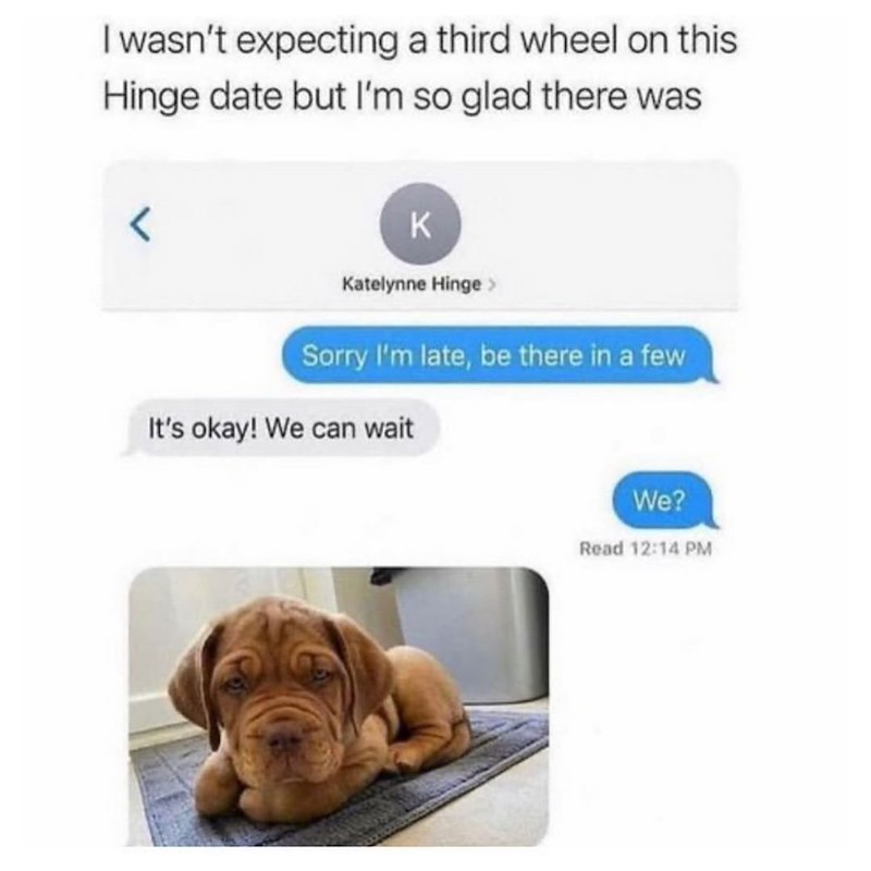 I wasn't expecting a third wheel on this Hinge date but I'm so glad there was < K Katelynne Hinge > Sorry I'm late, be there in a few It's okay! We can wait We? Read 12:14 PM