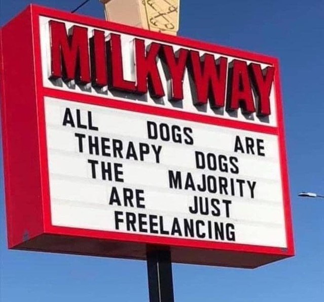 MILKYWAY DOGS ALL ARE THERAPY DOGS THE MAJORITY ARE JUST FREELANCING