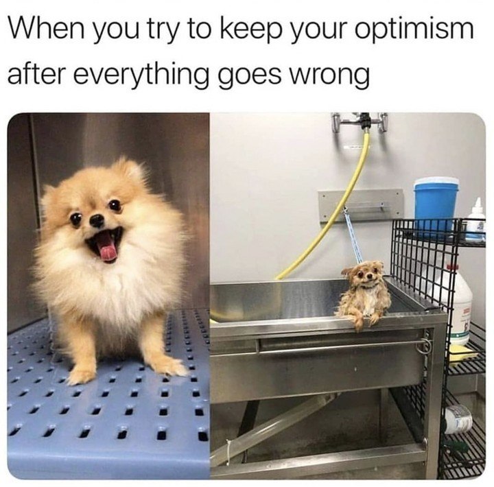 When you try to keep your optimism after everything goes wrong