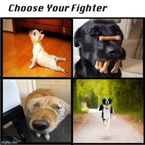 Choose Your Fighter imgflip.com