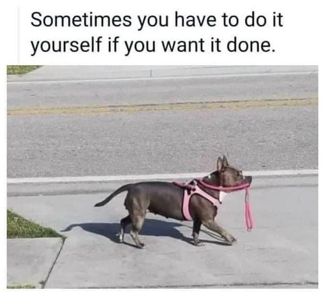 Sometimes you have to do it yourself if you want it done.