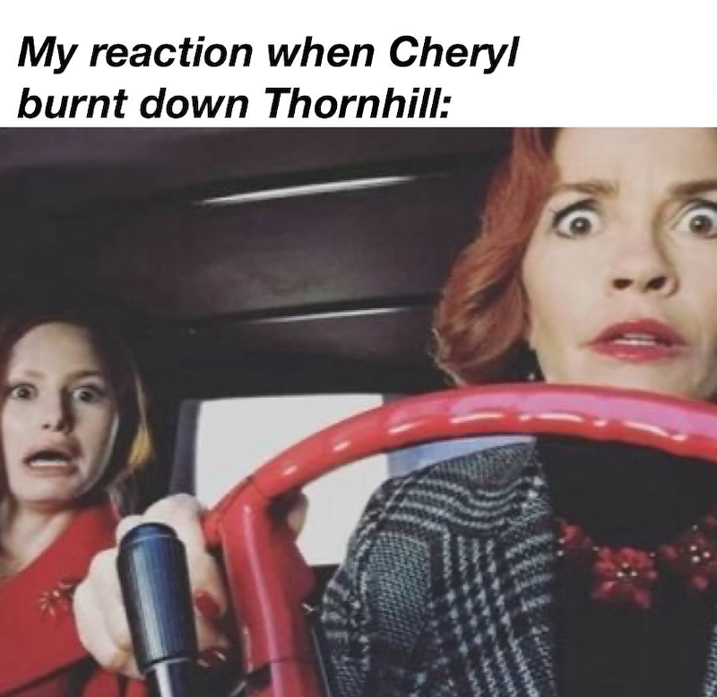 My reaction when Cheryl burnt down Thornhill: