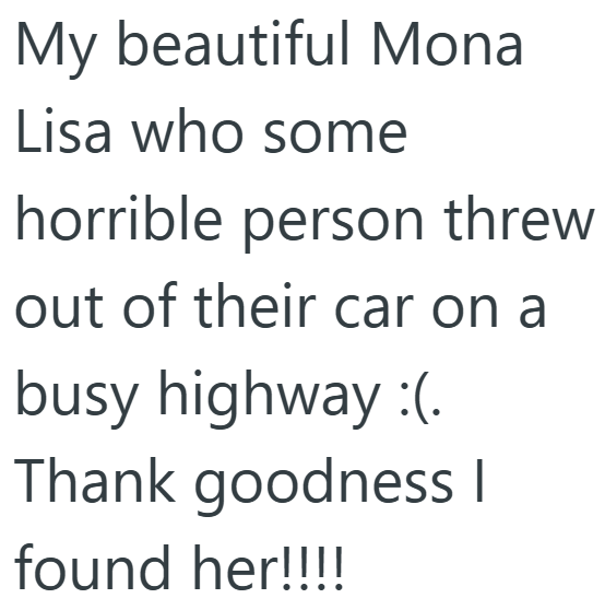 My beautiful Mona Lisa who some horrible person threw out of their car on a busy highway :(. Thank goodness I found her!!!!