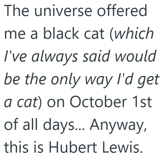 The universe offered me a black cat (which I've always said would be the only way I'd get a cat) on October 1st of all days... Anyway, this is Hubert Lewis.
