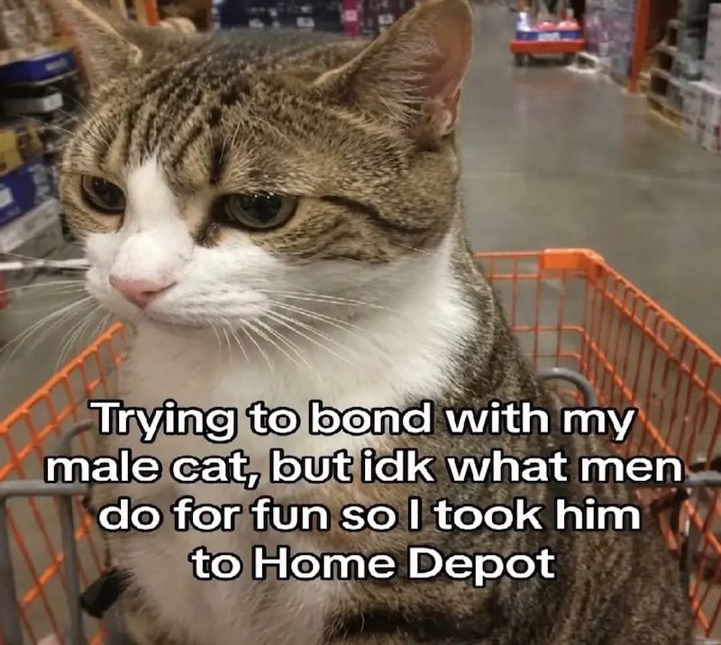 Trying to bond with my male cat, but idk what men do for fun so I took him to Home Depot