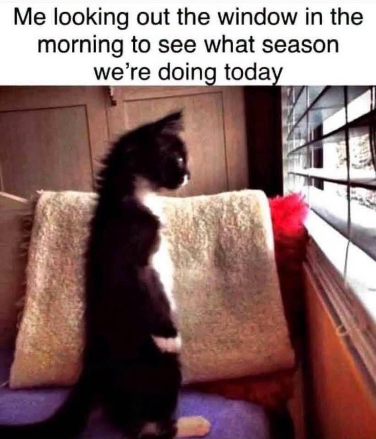 Me looking out the window in the morning to see what season. we're doing today