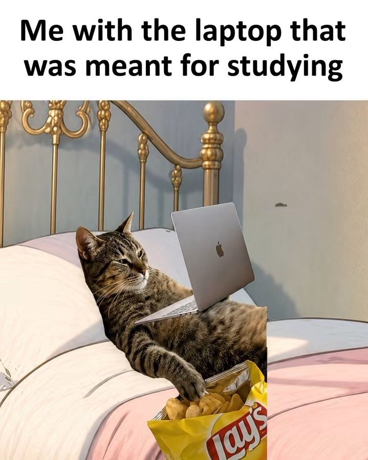 Me with the laptop that was meant for studying Jay's