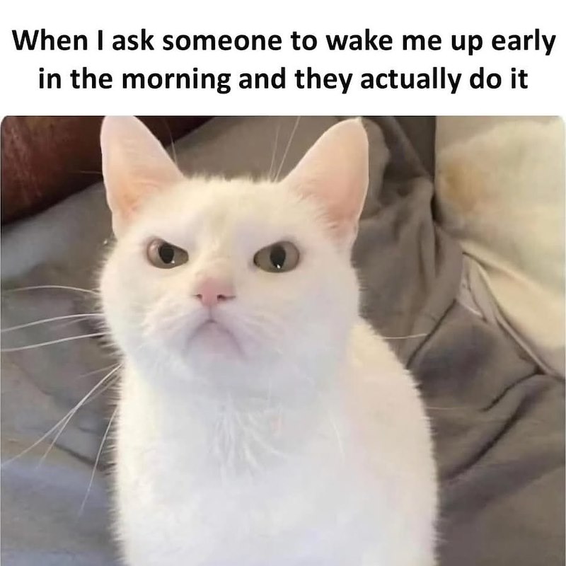 When I ask someone to wake me up early in the morning and they actually do it