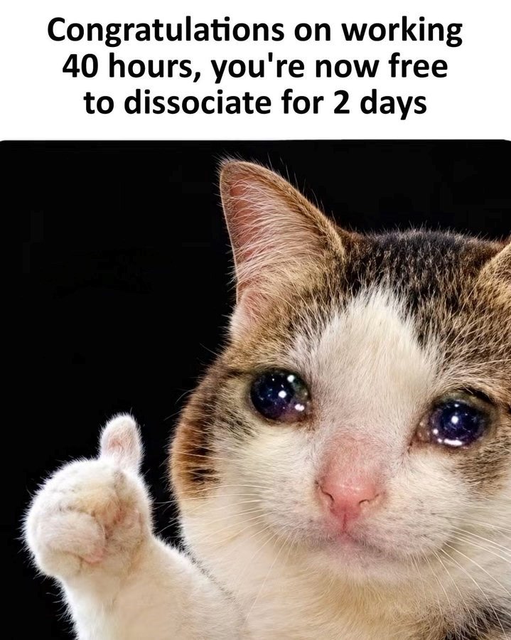 Congratulations on working 40 hours, you're now free to dissociate for 2 days