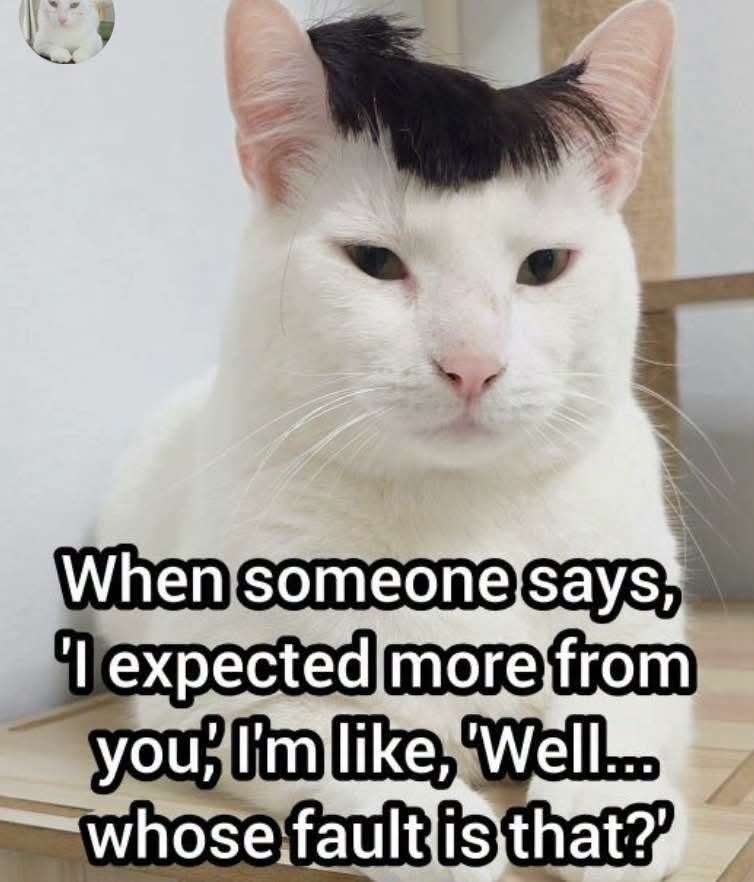 When someone says, 'I expected more from you! I'm like, 'Well... whose fault is that?'