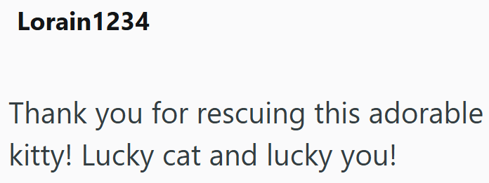 Lorain1234 Thank you for rescuing this adorable kitty! Lucky cat and lucky you!