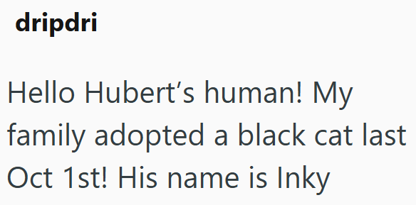 dripdri Hello Hubert's human! My family adopted a black cat last Oct 1st! His name is Inky