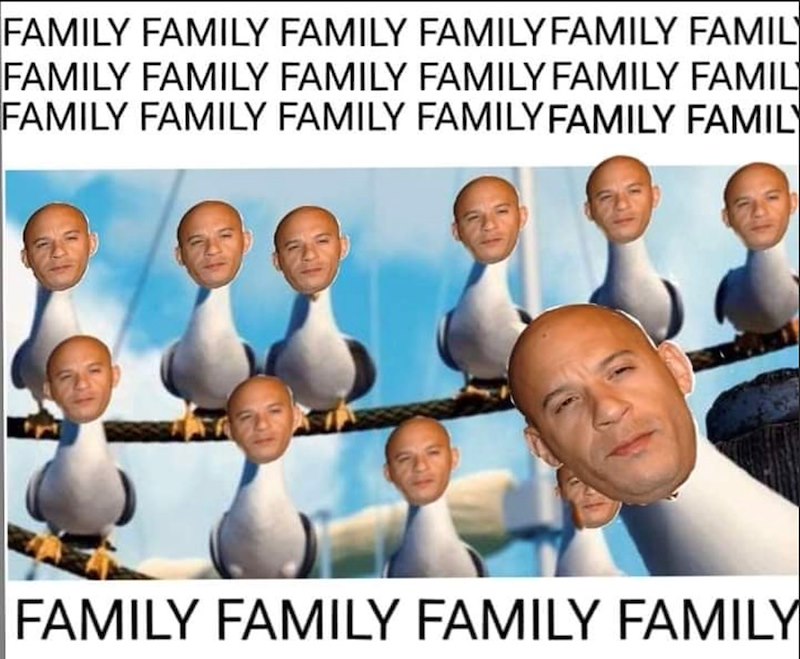 FAMILY FAMILY FAMILY FAMILY FAMILY FAMIL FAMILY FAMILY FAMILY FAMILY FAMILY FAMIL FAMILY FAMILY FAMILY FAMILY FAMILY FAMILY FAMILY FAMILY FAMILY FAMILY
