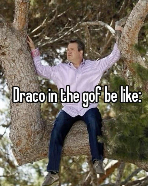 Draco in the gof be like: