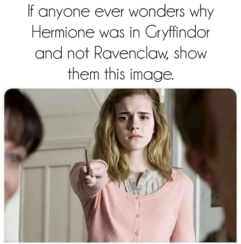 If anyone ever wonders why Hermione was in Gryffindor and not Ravenclaw, show them this image.