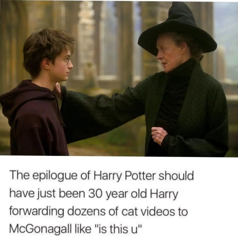 The epilogue of Harry Potter should have just been 30 year old Harry forwarding dozens of cat videos to McGonagall like "is this u"