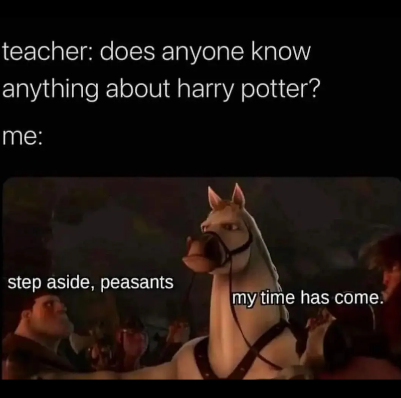 teacher: does anyone know anything about harry potter? me: step aside, peasants my time has come.