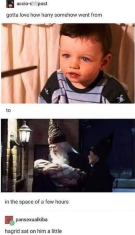 accio-s post gotta love how harry somehow went from to in the space of a few hours pansexualkiba hagrid sat on him a little