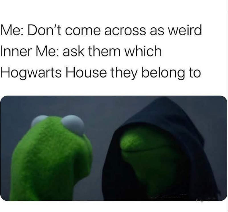Me: Don't come across as weird Inner Me: ask them which Hogwarts House they belong to