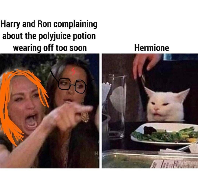 Harry and Ron complaining about the polyjuice potion wearing off too soon H Hermione