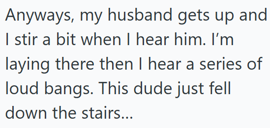 Anyways, my husband gets up and I stir a bit when I hear him. I'm laying there then I hear a series of loud bangs. This dude just fell down the stairs...