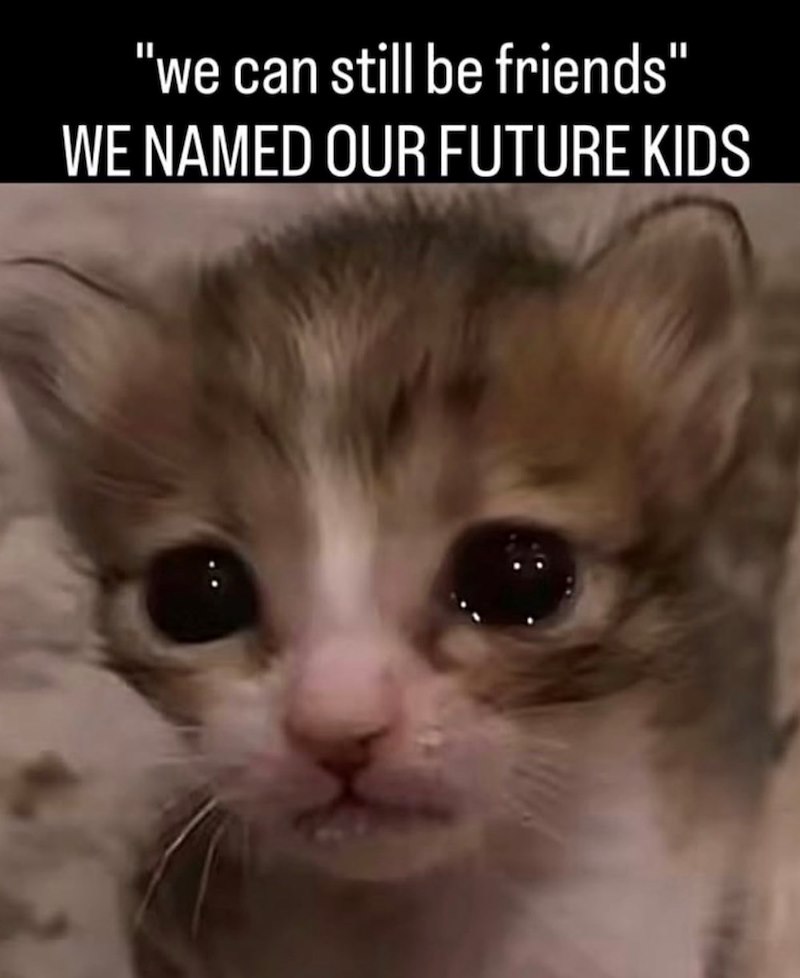 "we can still be friends" WE NAMED OUR FUTURE KIDS