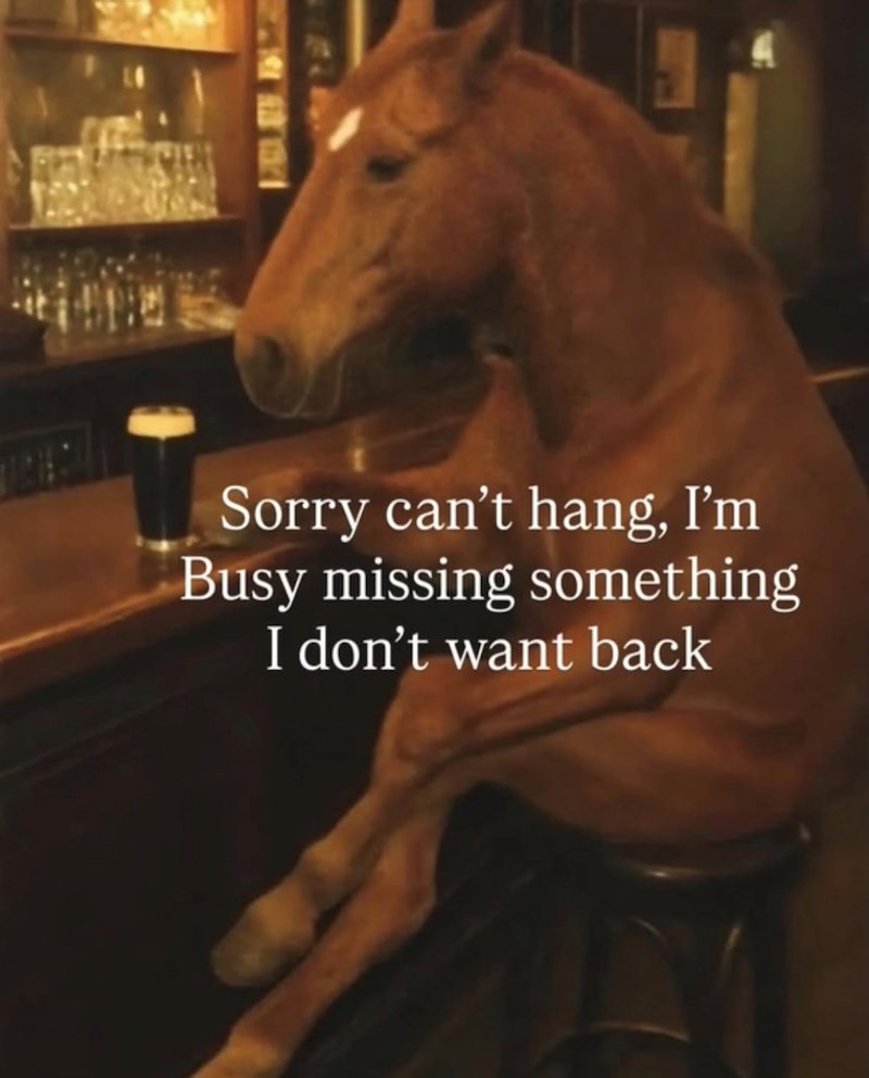 Sorry can't hang, I'm Busy missing something I don't want back