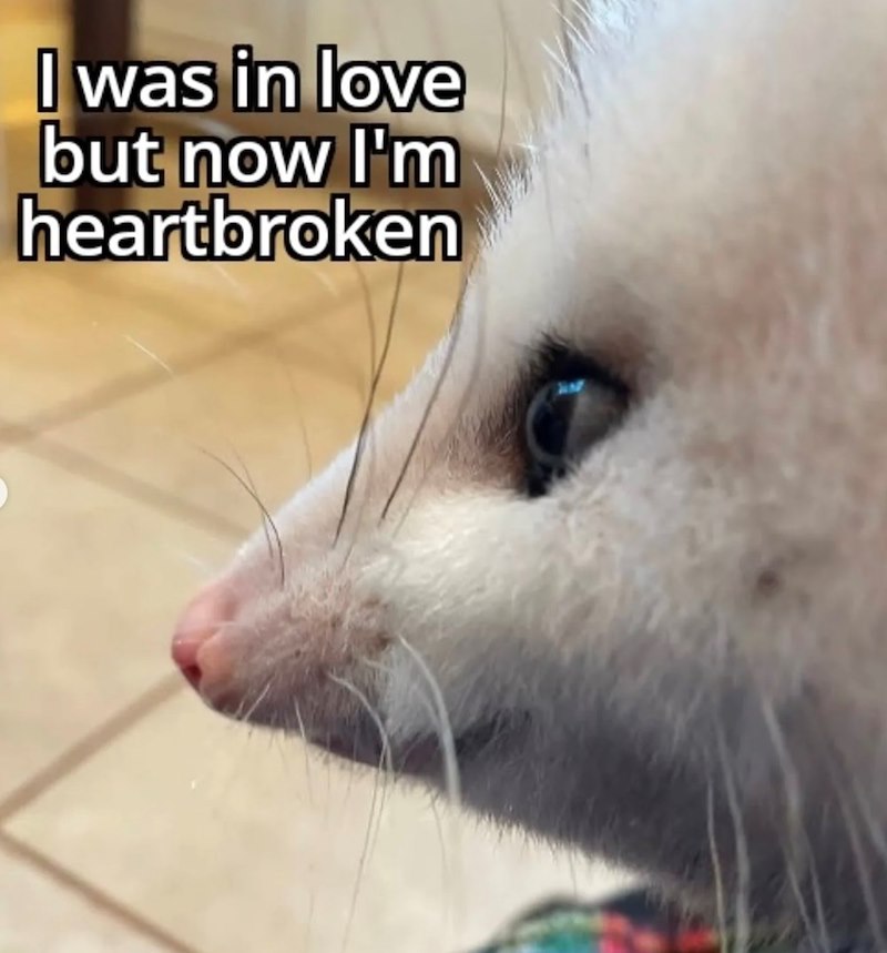 I was in love but now I'm heartbroken