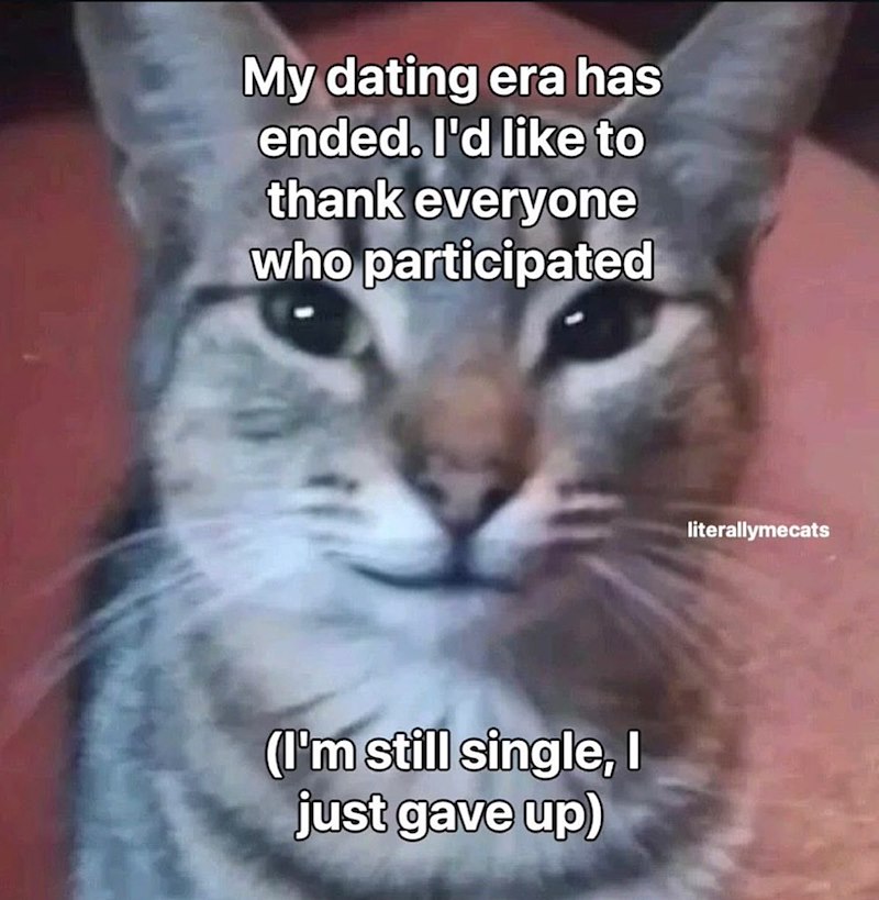 My dating era has ended. I'd like to thank everyone who participated (I'm still single, I just gave up) literallymecats