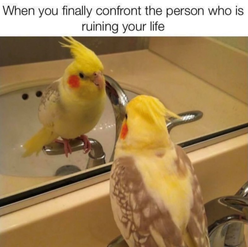 When you finally confront the person who is ruining your life