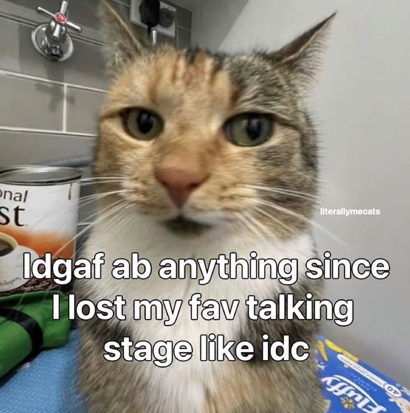 onal st literallymecats Idgaf ab anything since I lost my fav talking stage like idc