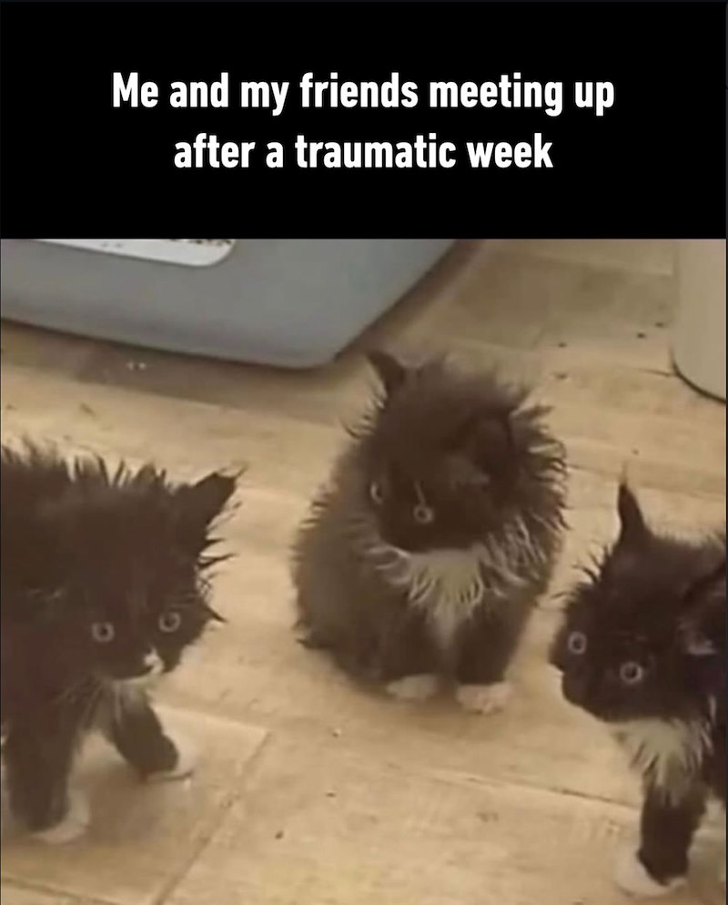 Me and my friends meeting up after a traumatic week